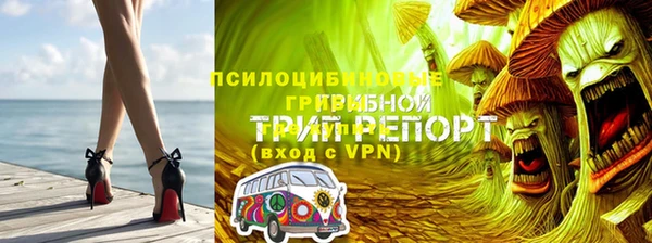эйфоретик Арсеньев